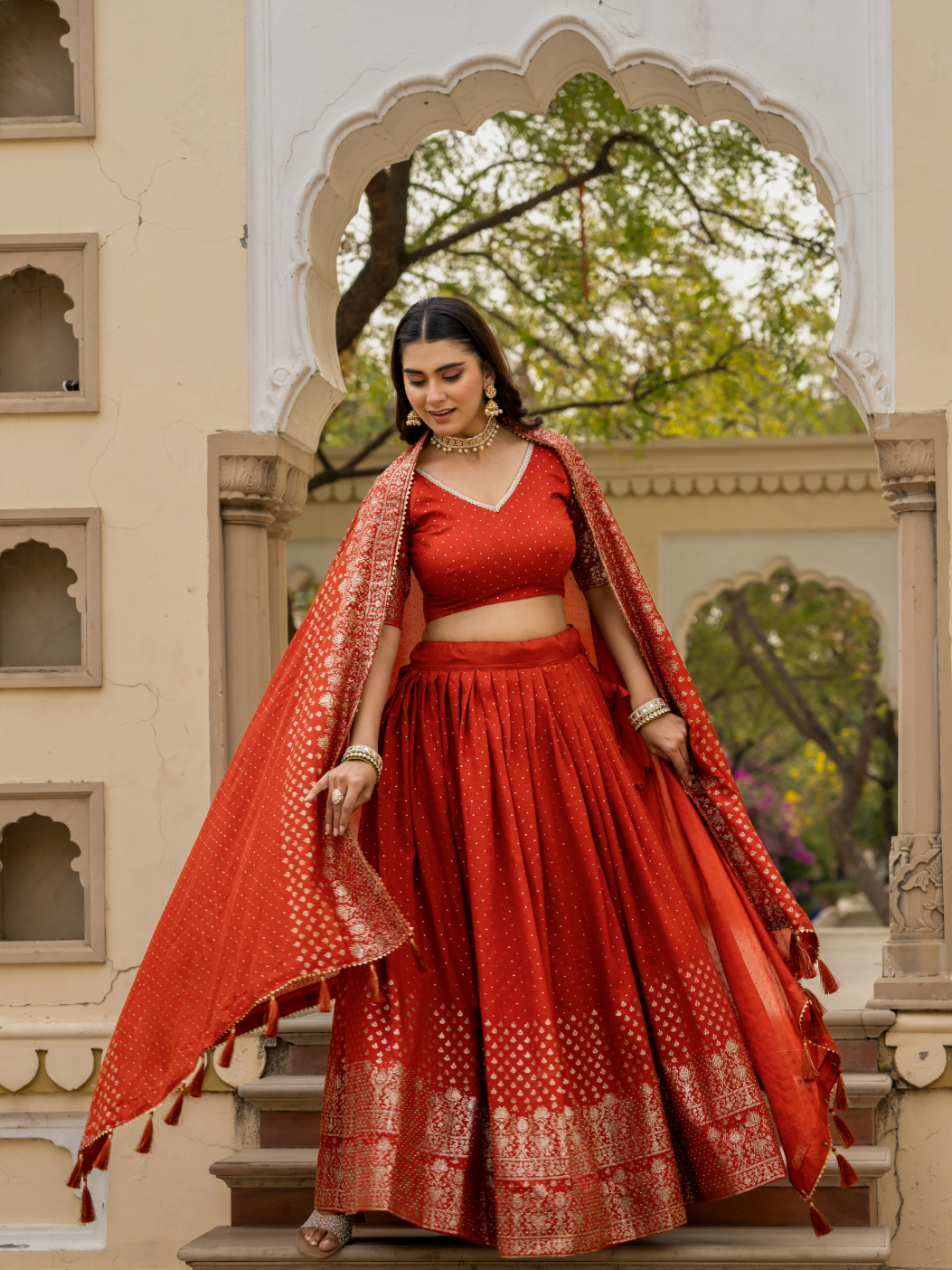 Lehenga Choli Set