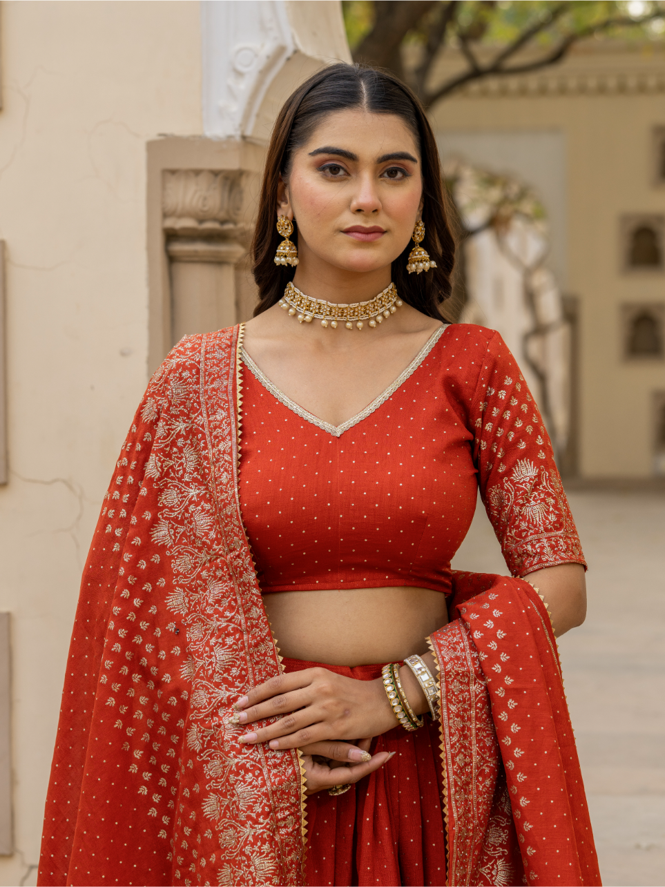 Lehenga Choli Set